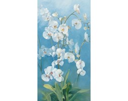 Dekoruj24.pl - obraz na płótnie Phalaenopsis Fontaine II