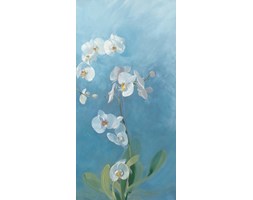 Dekoruj24.pl - obraz na płótnie Phalaenopsis Fontaine III