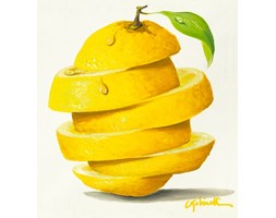 Dekoruj24.pl - obraz na płótnie Lemon Cut