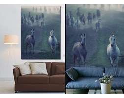 Wild horses running through the rular path
