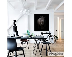 White rhinoceros in dark background