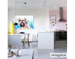 Dog in glasses