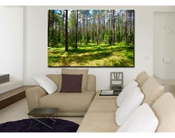 Summer forest