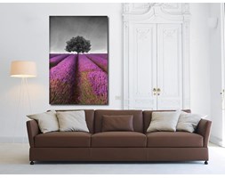Stunning lavender field landscape