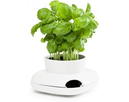 Sagaform HERBS SPICES Doniczka na Zioła z Systemem Podlewania