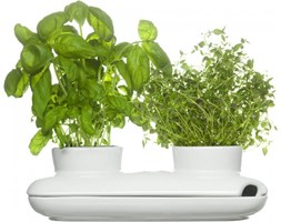 Sagaform HERBS SPICES Doniczka na Zioła z Systemem Podlewania - Podwójna