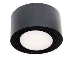 PP Design P 100 BK PLAFON NOWOCZESNA LAMPA SUFITOWA OPRAWA NATYNKOWA 12 CM ALUMINIUM CZARNY GX53 LED NISKI