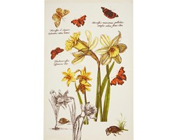 Ulster Weavers RHS Narcissus ściereczka lniana 000NRC