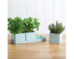 Doniczki do ziół Kitchen Craft miętowe 3x