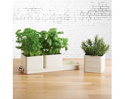 Doniczki do ziół Kitchen Craft kremowe 3x