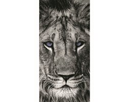 Jerry Fabrics Ręcznik kąpielowy Lew, 70 x 140 cm