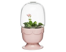 Doniczka ze szklaną pokrywą Green, pelargoniowy róż