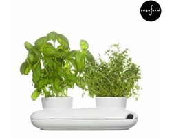 PODWÓJNY WAZON NA ZIOŁA, SAGAFORM HERBS AND SPICES