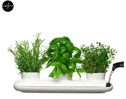 POTRÓJNY WAZON NA ZIOŁA, SAGAFORM HERBS AND SPICES