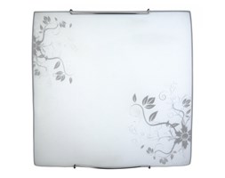 CALIFORNIA plafon 2 x 60W E27 SPOT-LIGHT 4254402