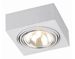 RODOS kinkiet 1 x 48W G9 ARGON 349