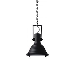 EXPIRIA lampa wisząca 1 x 60W E27 Britop 1305104
