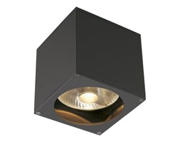 Lampa sufitowa Big Theo Wall Out antracyt SLV 229565