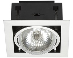 DOWNLIGHT SPOT UCHYLNY 4870 NOWODVORSKI