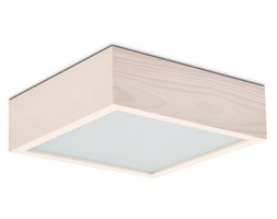plafon QUADRO 265 1030