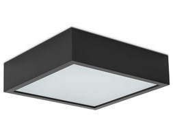 plafon QUADRO 305 1130