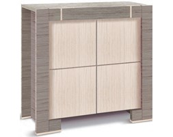 Komoda z drzwiami Modern
