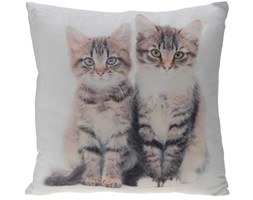 Poduszka Cats 45x45 cm- wzór 1