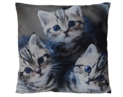 Poduszka Cats 45x45 cm- wzór 3
