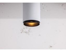 Lampa wisząca Texo Pro RT + ZW Labra