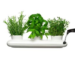 Herbs & Spices — potrójny wazon na zioła - SAGAFORM - DECOSALON - Zakupy bez ryzyka