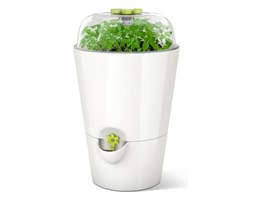 Doniczka na zioła, mini szklarnia EMSA Fresh Herbs biała EM-515565