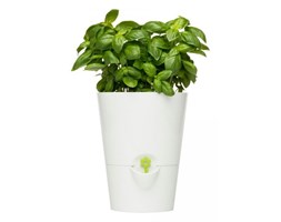 Doniczka na zioła EMSA Fresh Herbs biała EM-514244