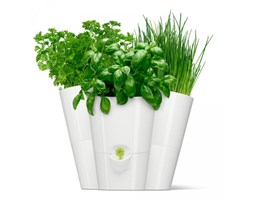 Potrójna doniczka na zioła EMSA Fresh Herbs Trio biała EM-515352