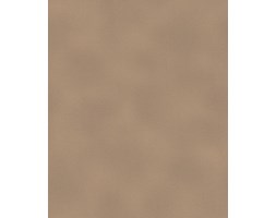 Tapeta Rasch 450668