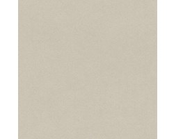 Tapeta Rasch 527018 CRISPY PAPER