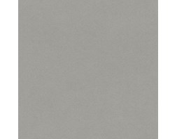 Tapeta Rasch 527025 CRISPY PAPER