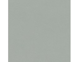 Tapeta Rasch 527032 CRISPY PAPER