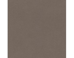 Tapeta Rasch 527049 CRISPY PAPER