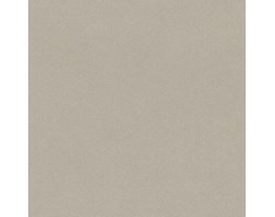 Tapeta Rasch 527056 CRISPY PAPER