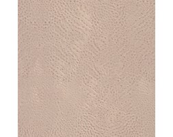 Tapeta Rasch 423624 AFRICAN QUEEN II