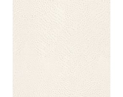 Tapeta Rasch 423655 AFRICAN QUEEN II