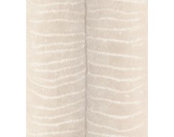 Tapeta Rasch 473506 AFRICAN QUEEN II