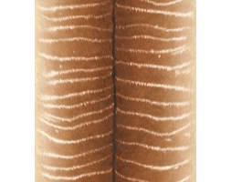 Tapeta Rasch 473520 AFRICAN QUEEN II
