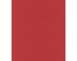 Tapeta Rasch 474213 AFRICAN QUEEN II