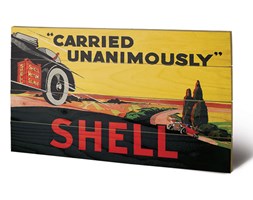 Obraz na drewnie Shell - Carried Unanimously, (59 x 40 cm)
