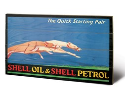 Obraz na drewnie Shell - Greyhounds, (59 x 40 cm)