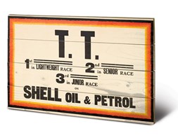Obraz na drewnie Shell - Tt, (59 x 40 cm)