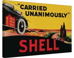 Shell - Carried Unanimously Obraz na płótnie, (80 x 60 cm)