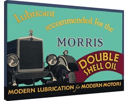 Shell - Morris Obraz na płótnie, (80 x 60 cm)