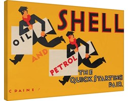 Shell - Newsboys Obraz na płótnie, (80 x 60 cm)